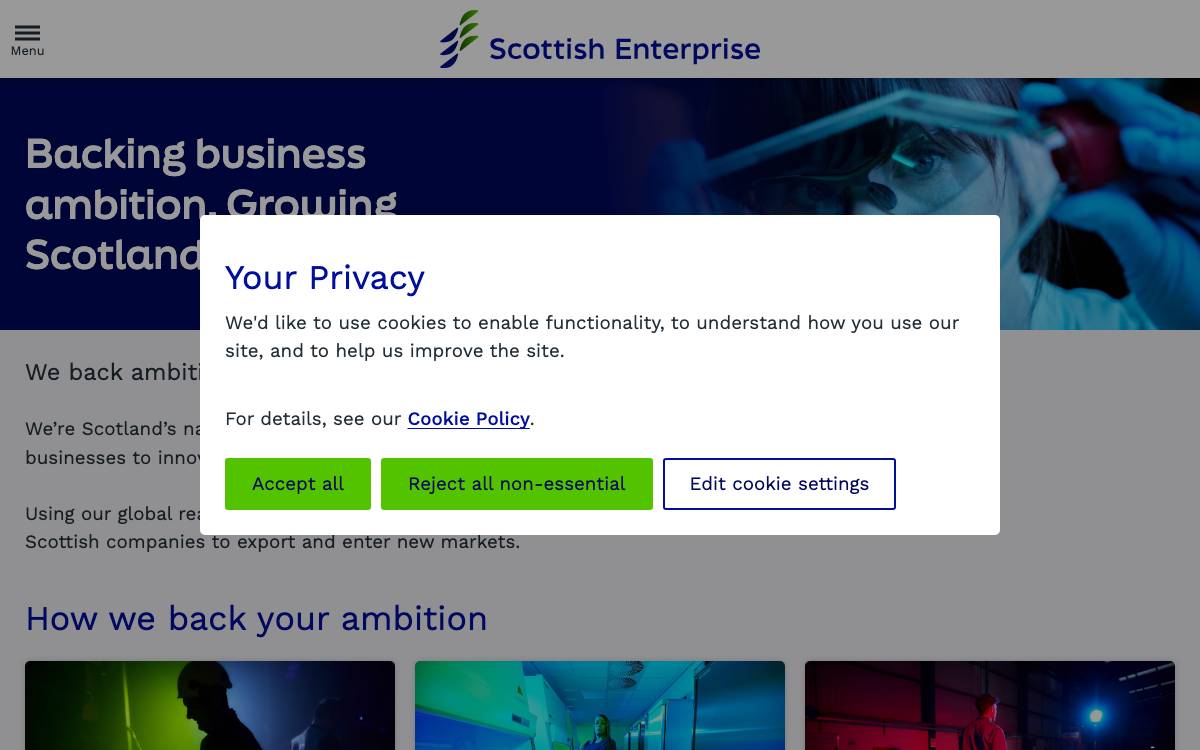 Scottish Enterprise website preview