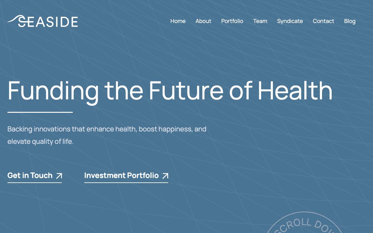 Seaside Ventures website preview