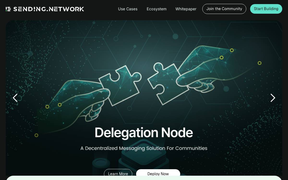 Sending Network website preview