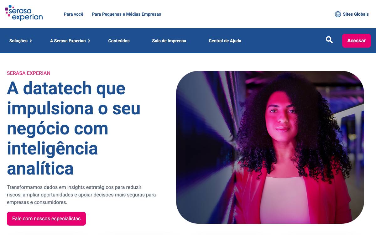Serasa Experian website preview