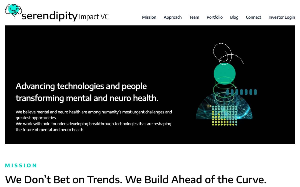 Serendipity Impact VC website preview