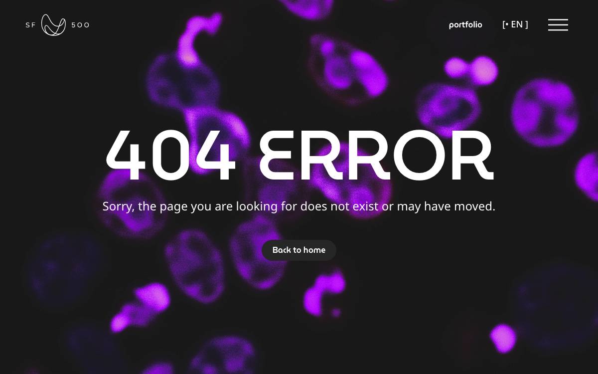 SF500 website preview