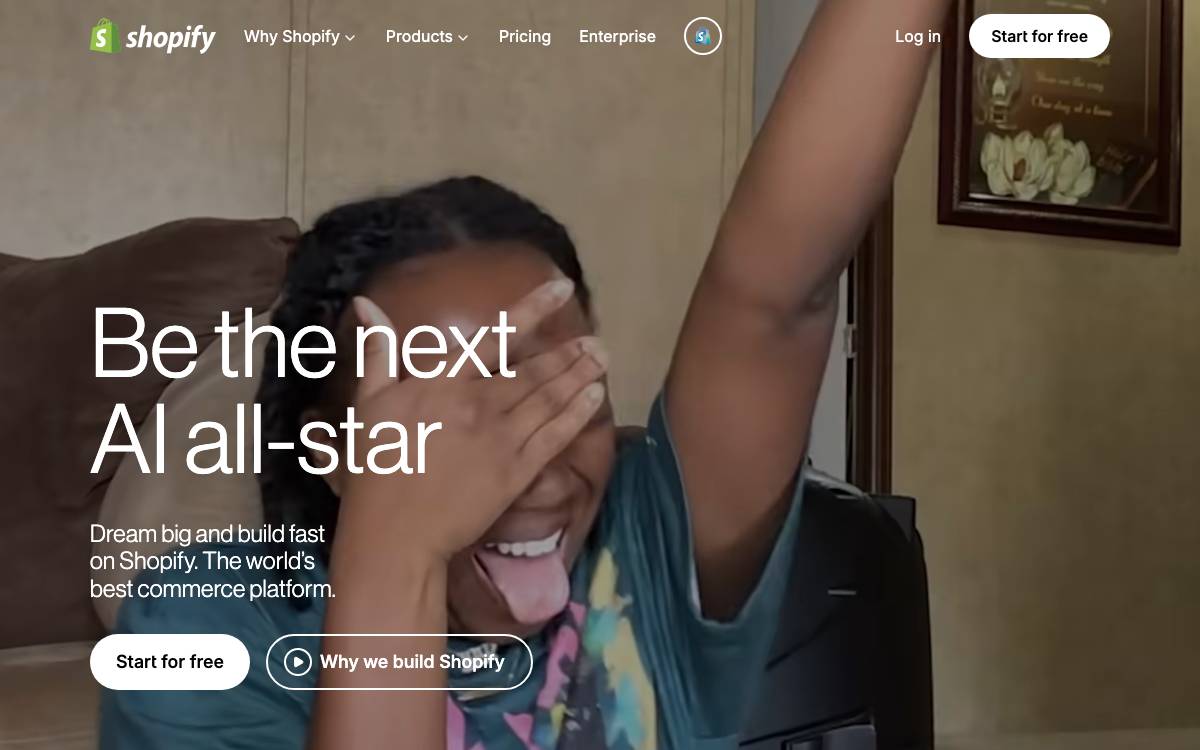 Shopify website preview
