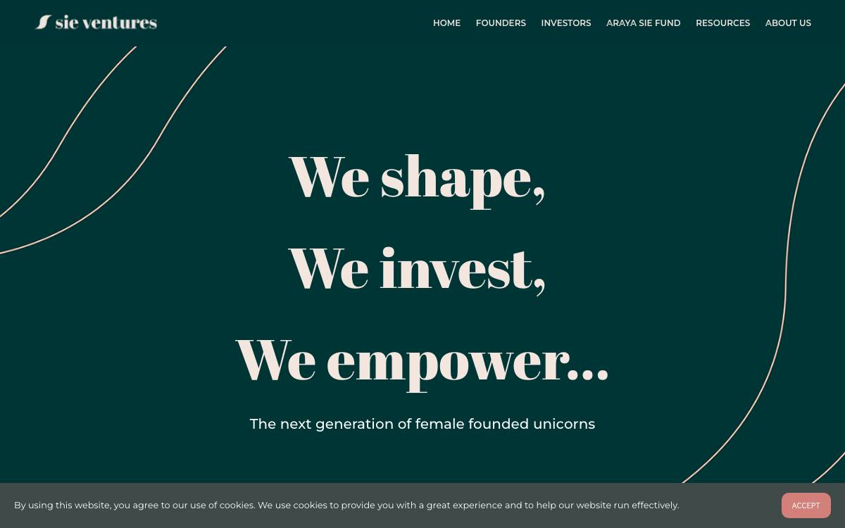 Sie Ventures website preview