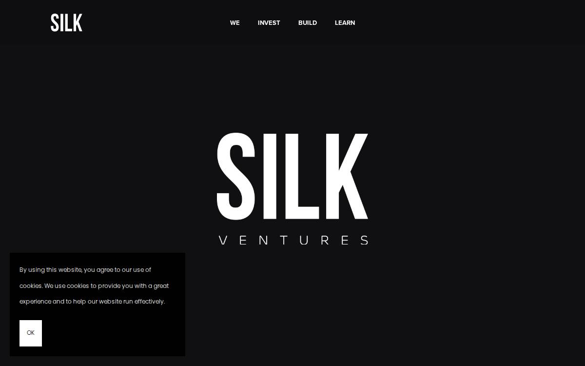 Silk Ventures website preview