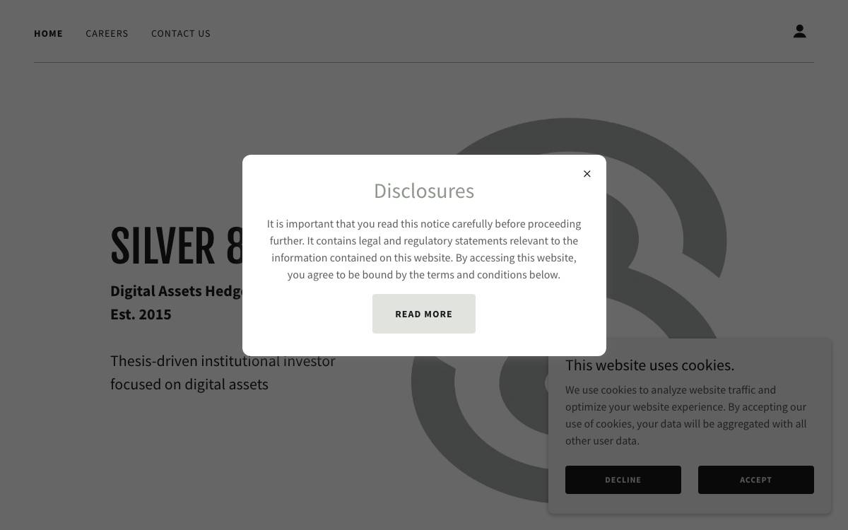 Silver 8 Capital website preview