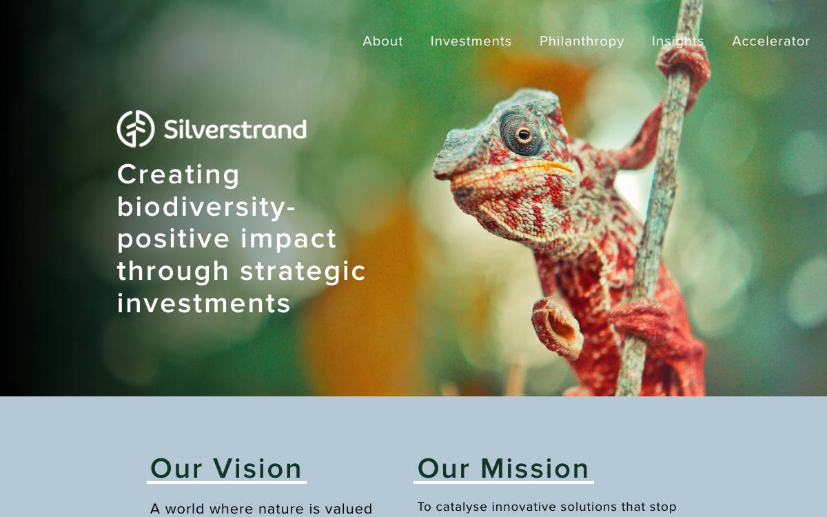 Silverstrand Capital website preview