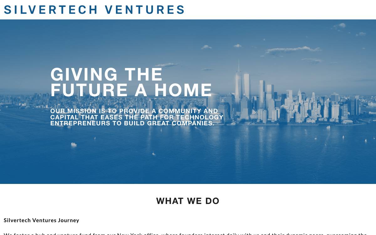 Silvertech Ventures website preview