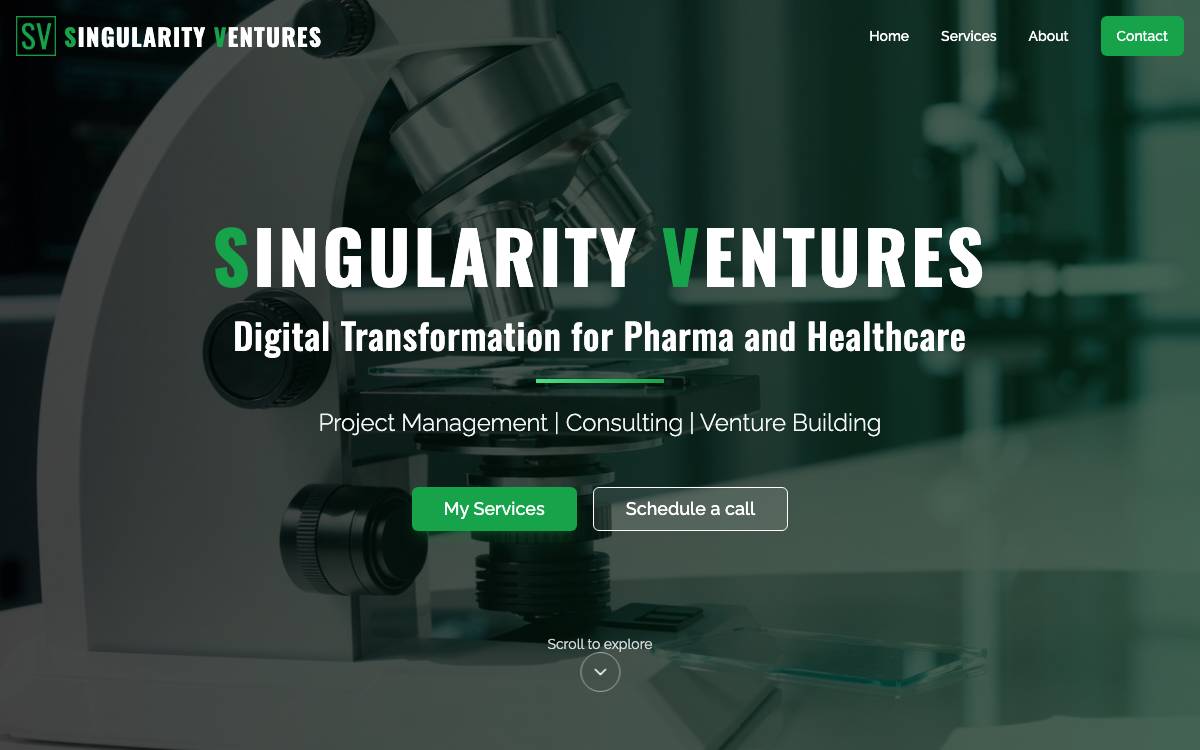 Singularity Ventures website preview