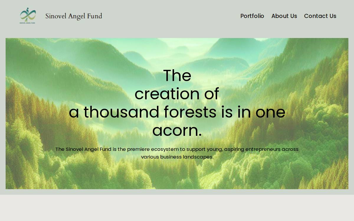 Sinovel Angel website preview