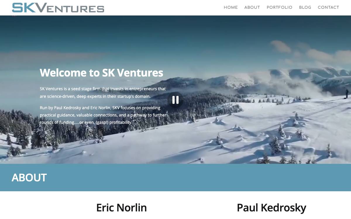 SK Ventures website preview