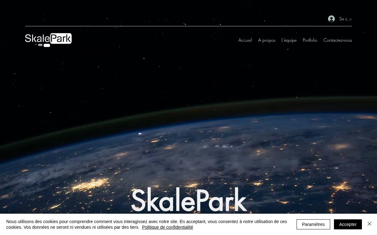 SkalePark website preview