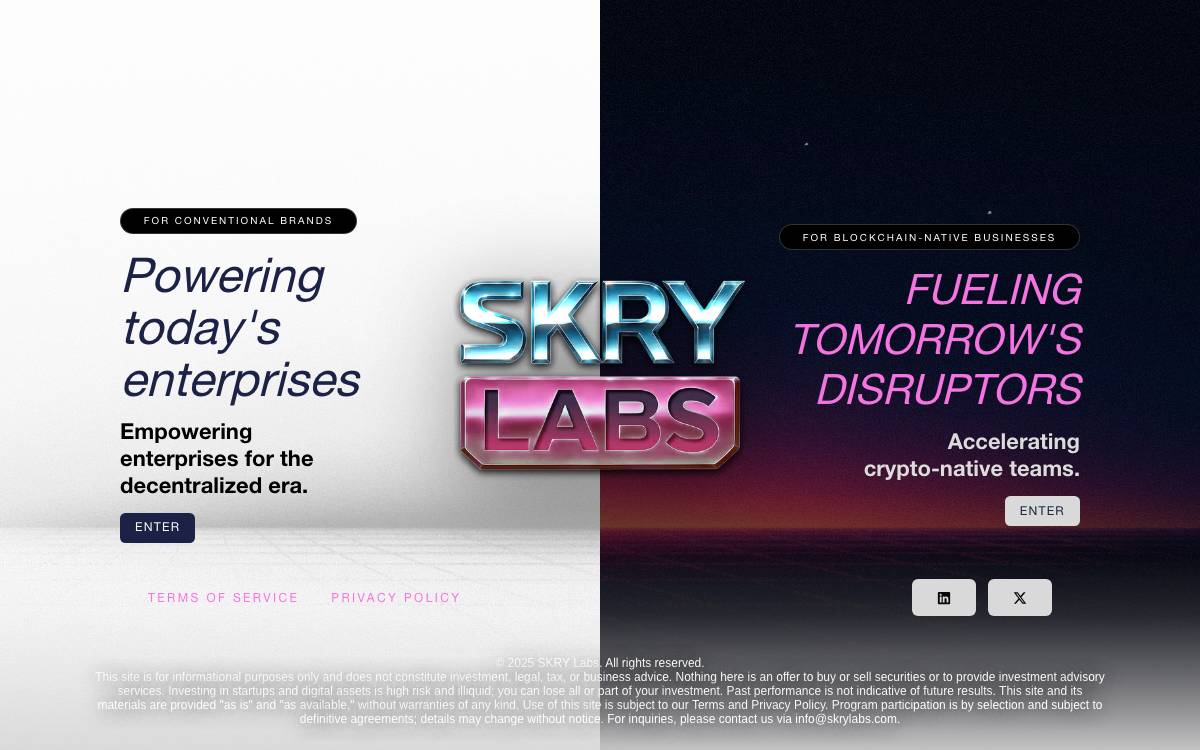 SkryLabs website preview