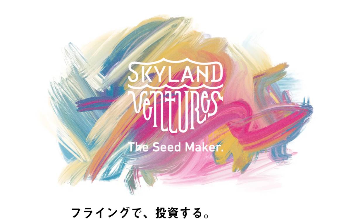 Skyland Ventures website preview