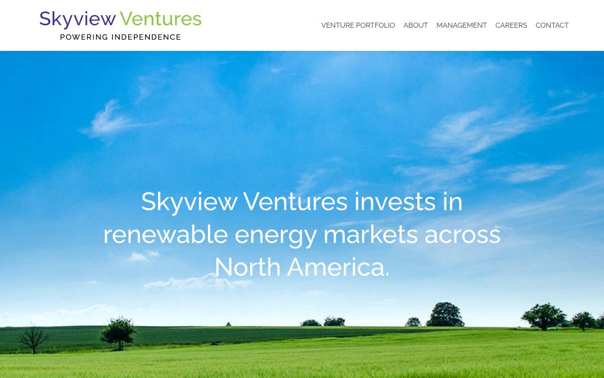 Skyview Ventures website preview