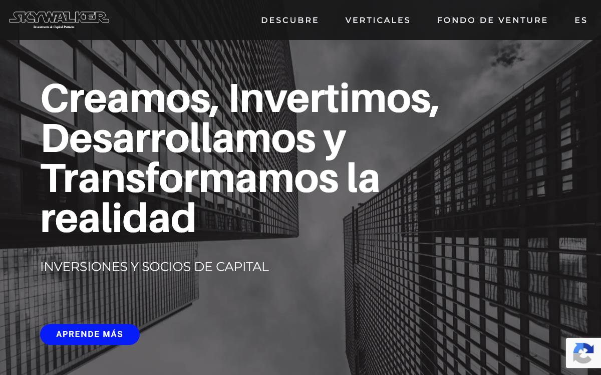 Skywalker Investments website preview