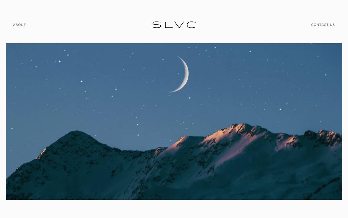 SLVC website preview