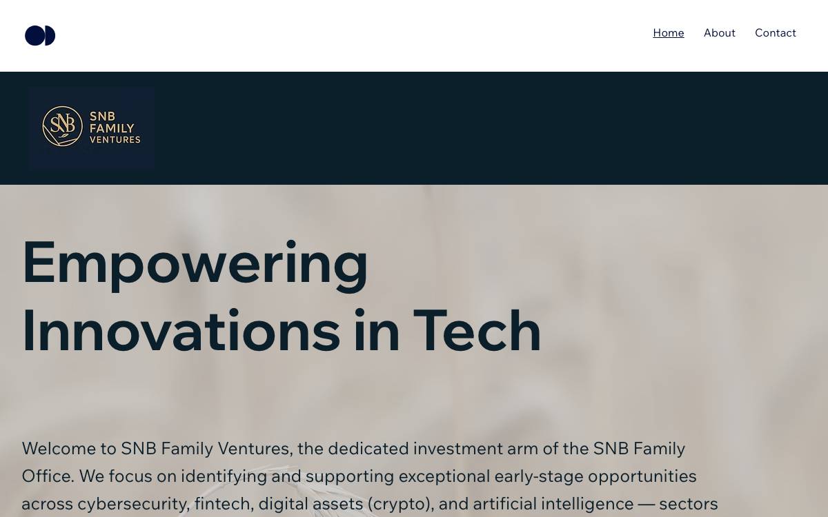 SNB Family Ventures website preview