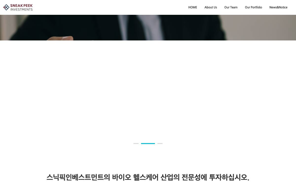 Snickpick Investment website preview