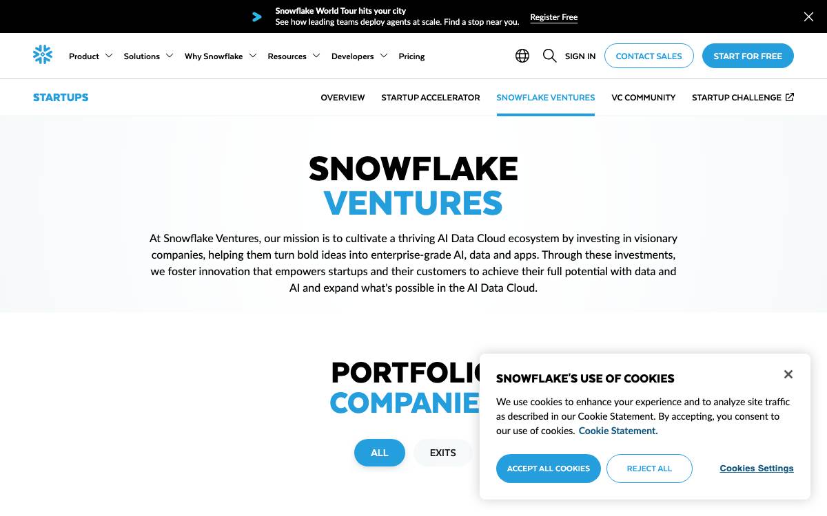 Snowflake Ventures website preview