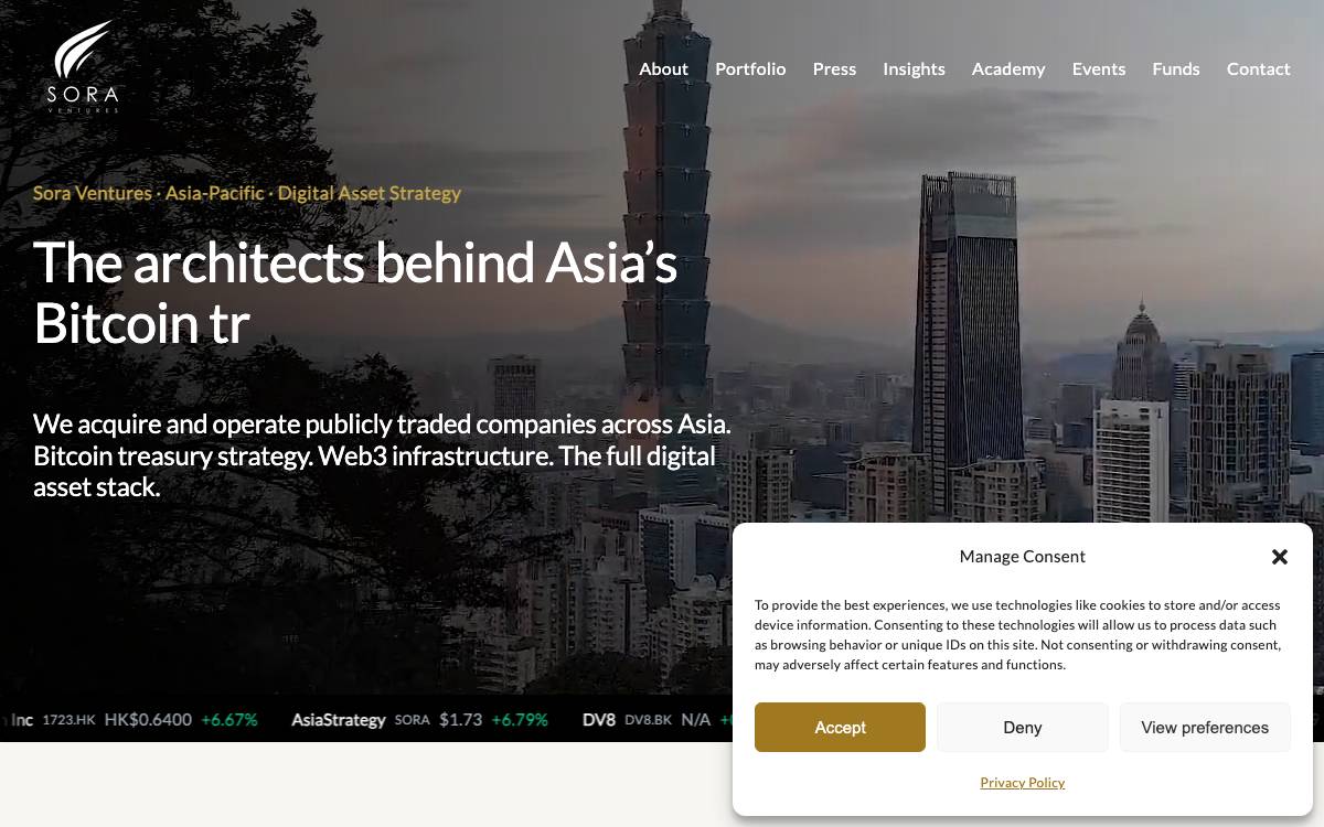 Sora Ventures website preview