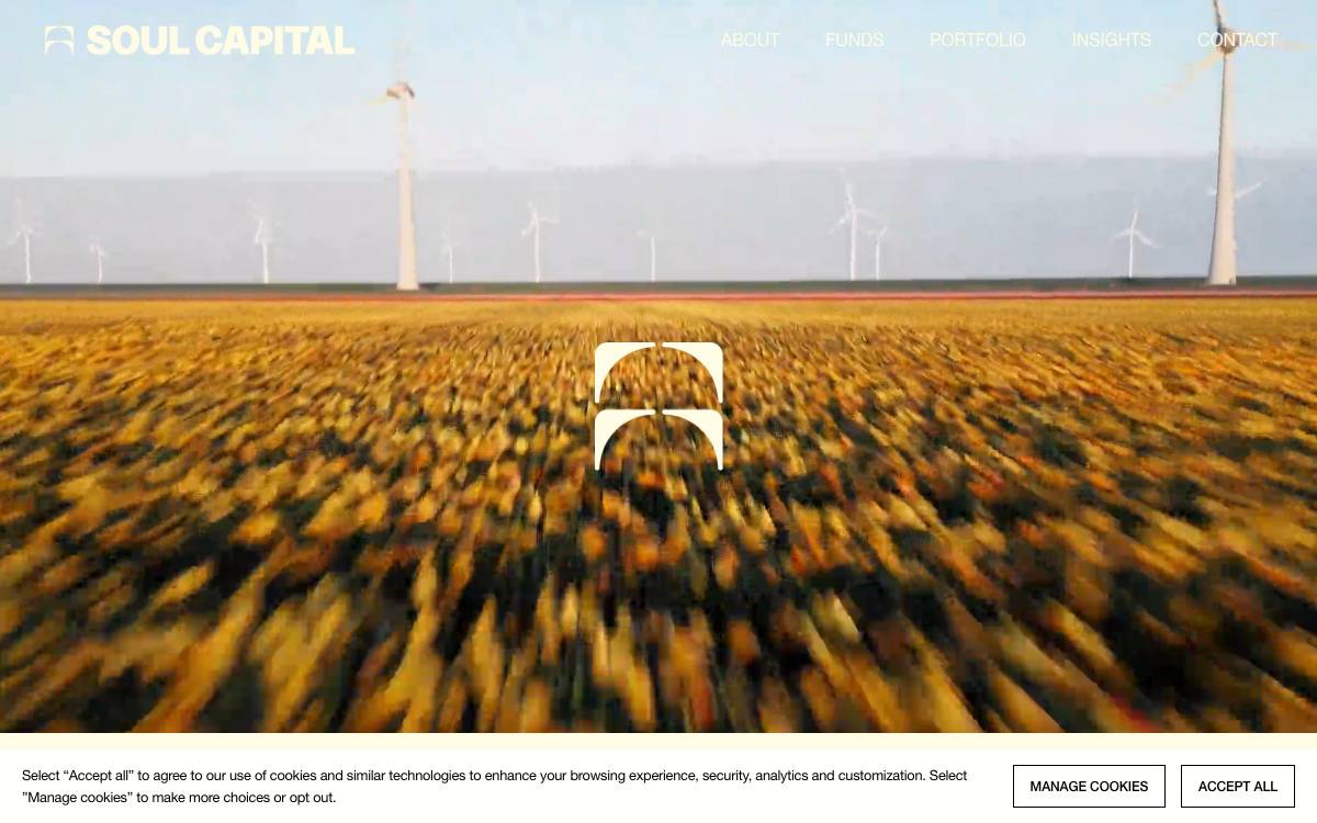 Soul Capital website preview