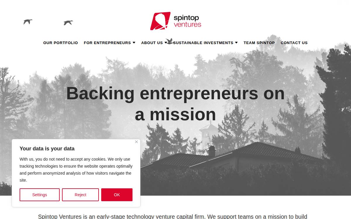 Spintop Ventures website preview