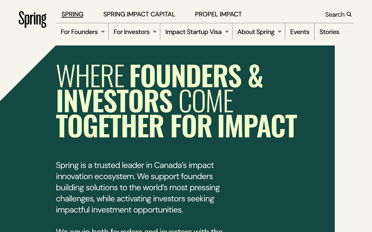Spring Angels Capital website preview