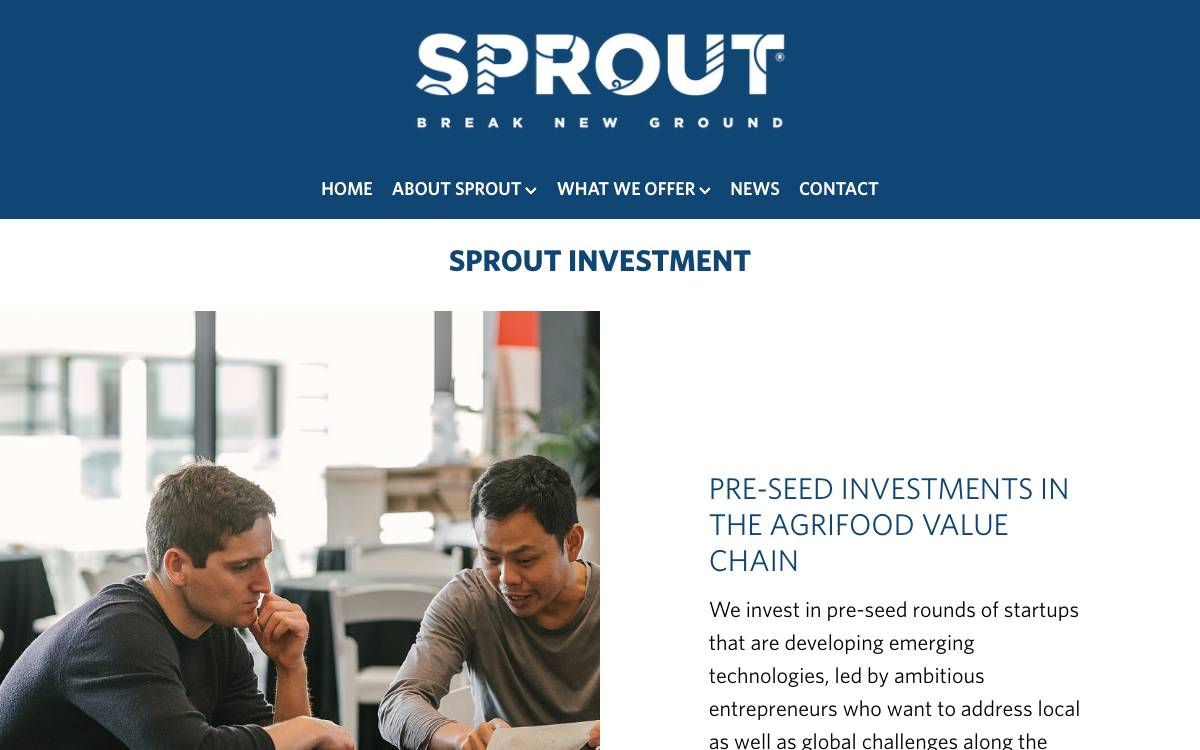 Sprout website preview