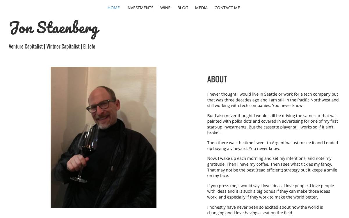 Staenberg Venture Partners website preview