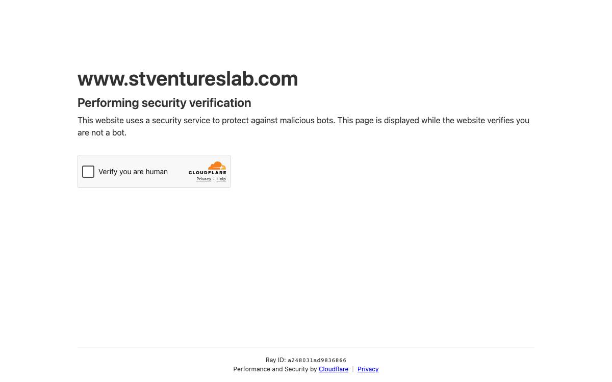 Stand Together Ventures Lab website preview