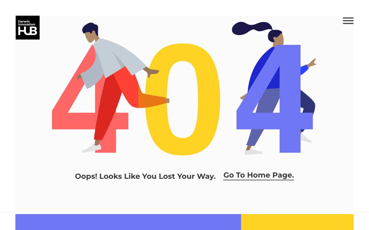 StartNT Program website preview