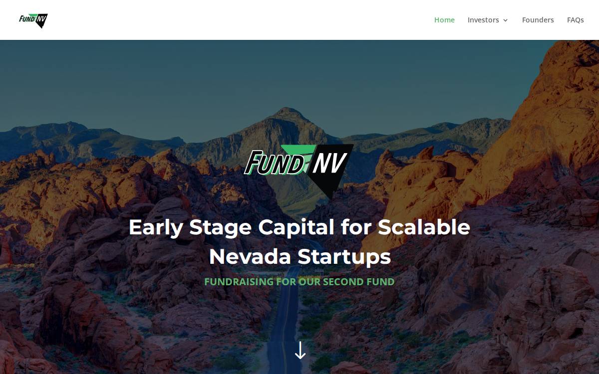 StartupNV website preview