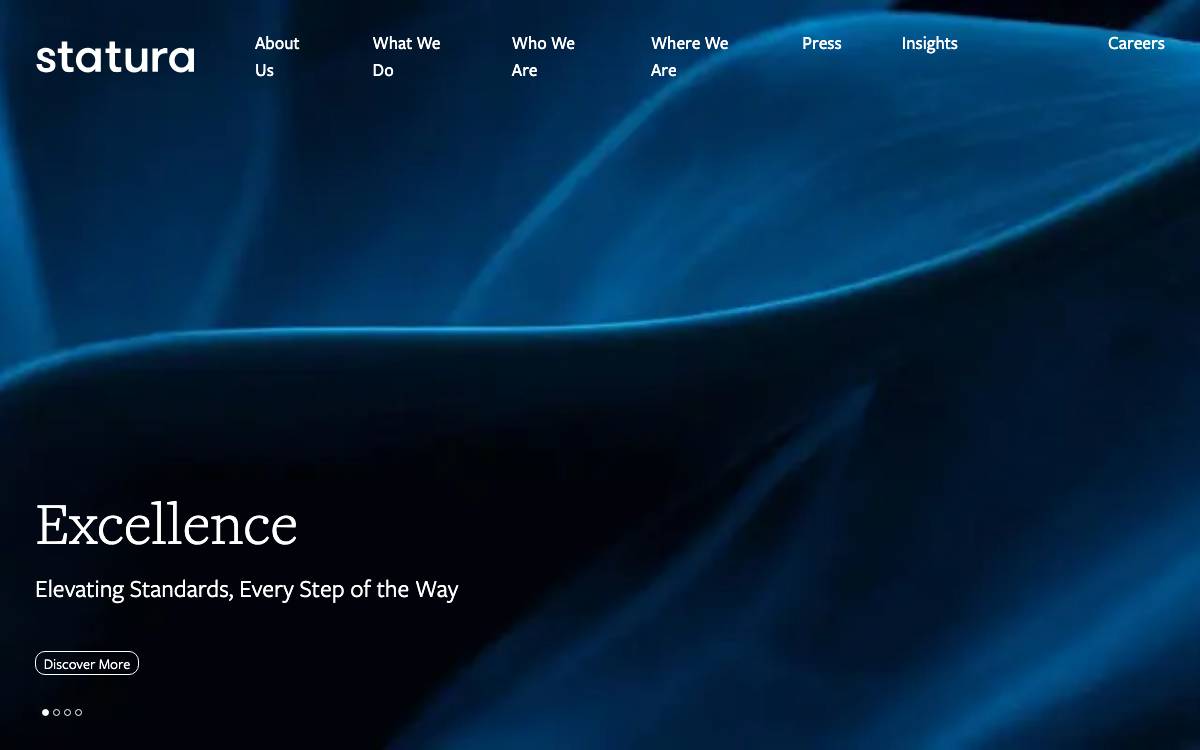 Statura website preview