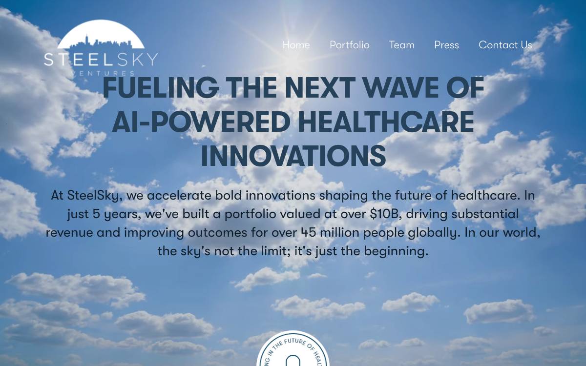 SteelSky Ventures website preview
