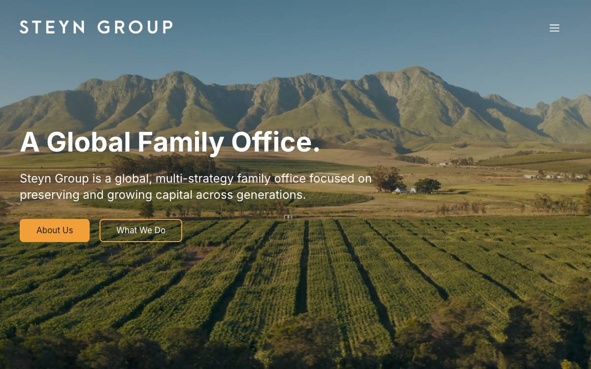 Steyn Group website preview