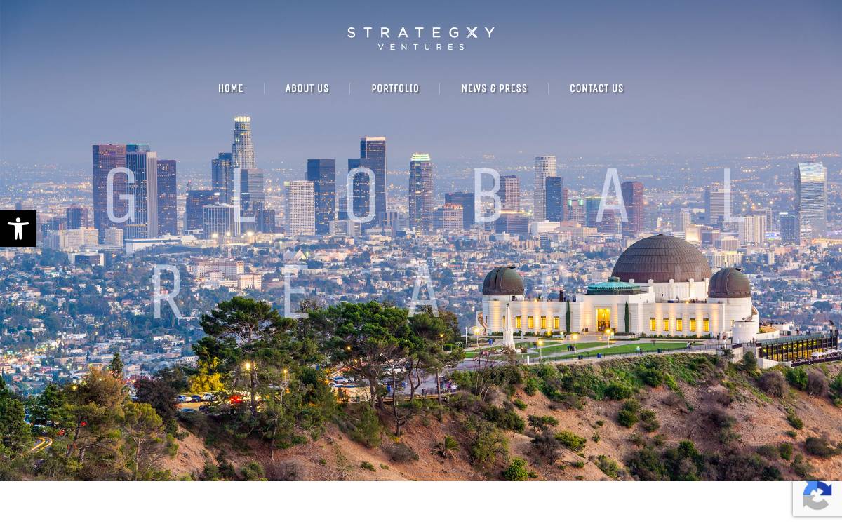Strategxy Ventures LLC website preview