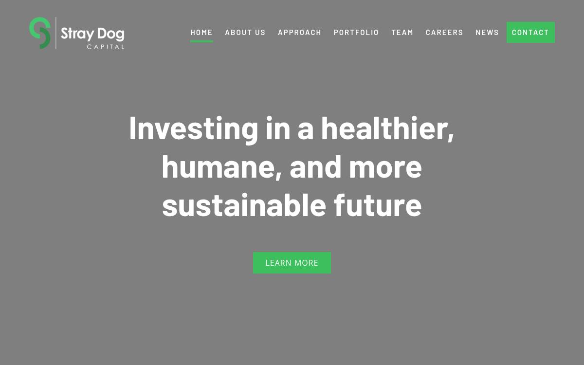 Stray Dog Capital website preview