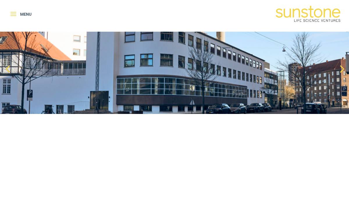 Sunstone Capital website preview