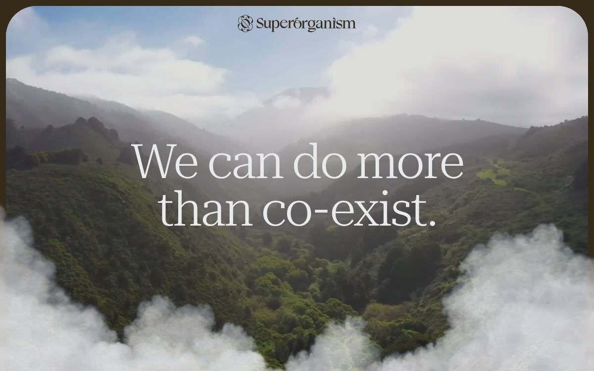 Superorganism website preview