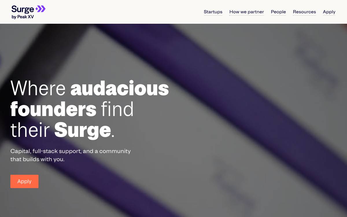 Surge website preview
