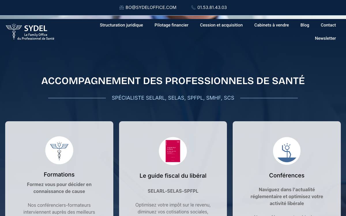 SYDEL website preview