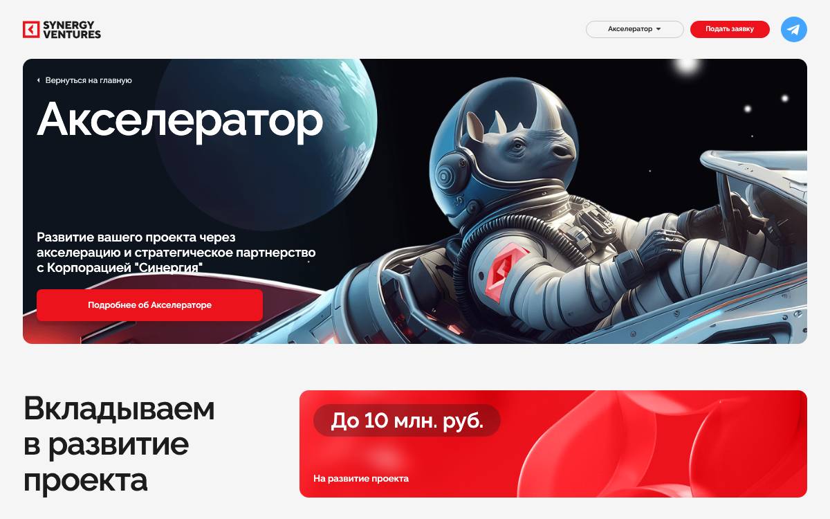 Synergy Accelerator website preview