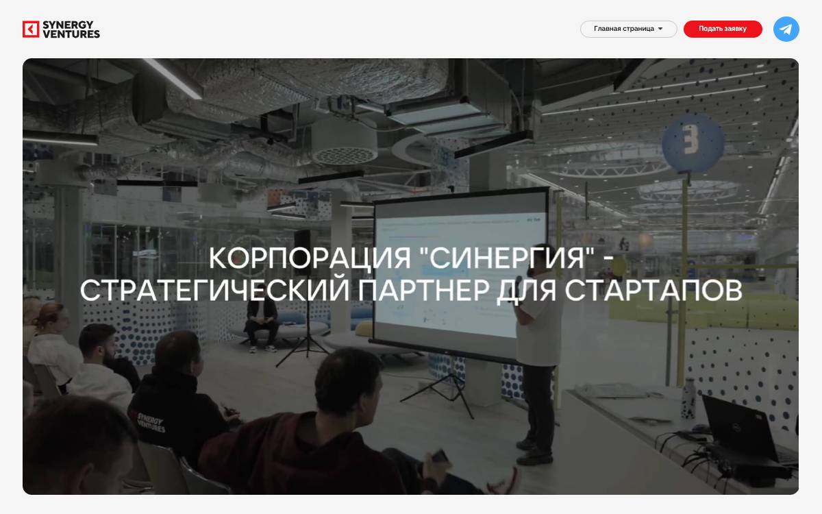 Synergy Ventures website preview