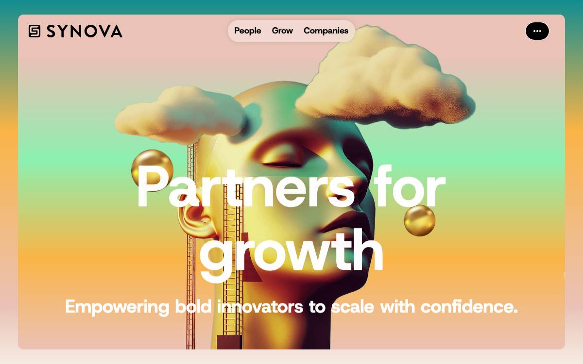 Synova website preview