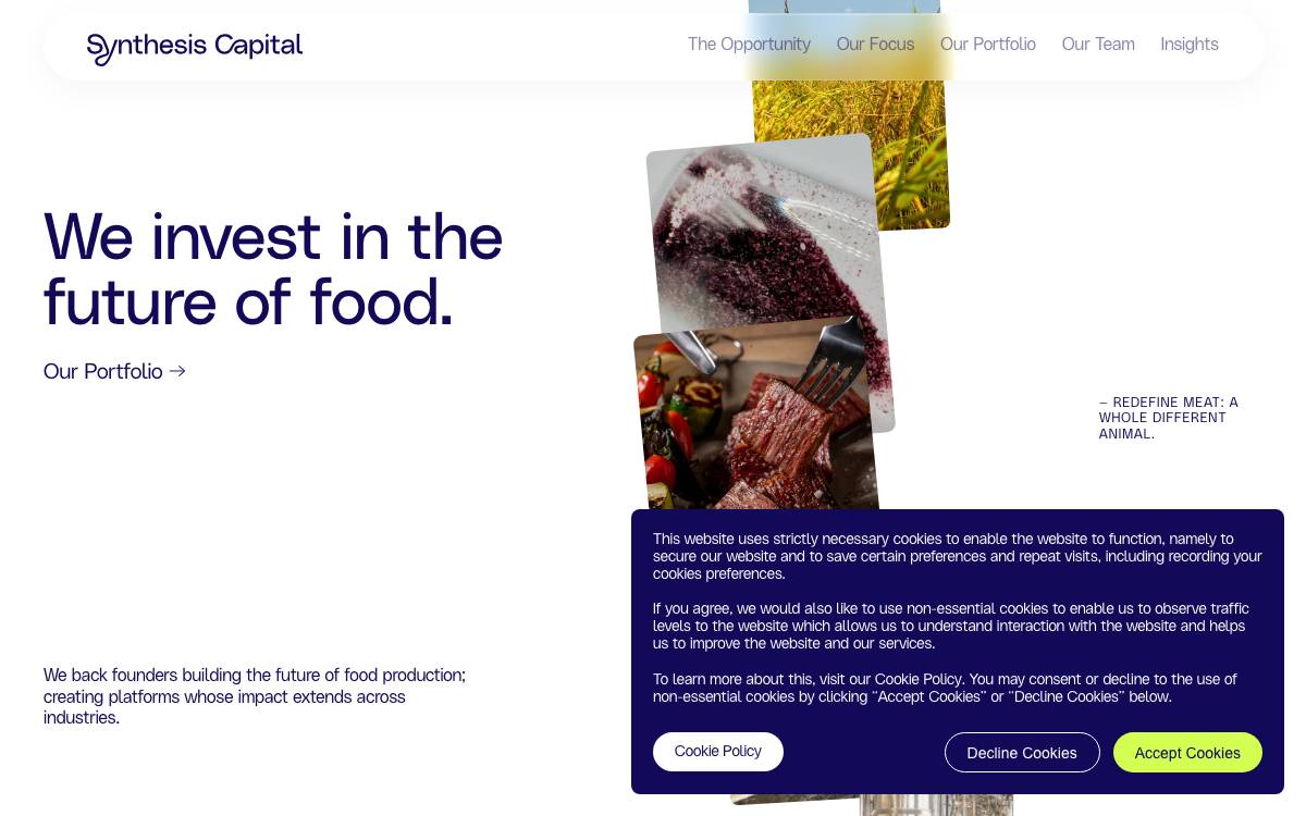 Synthesis Capital website preview