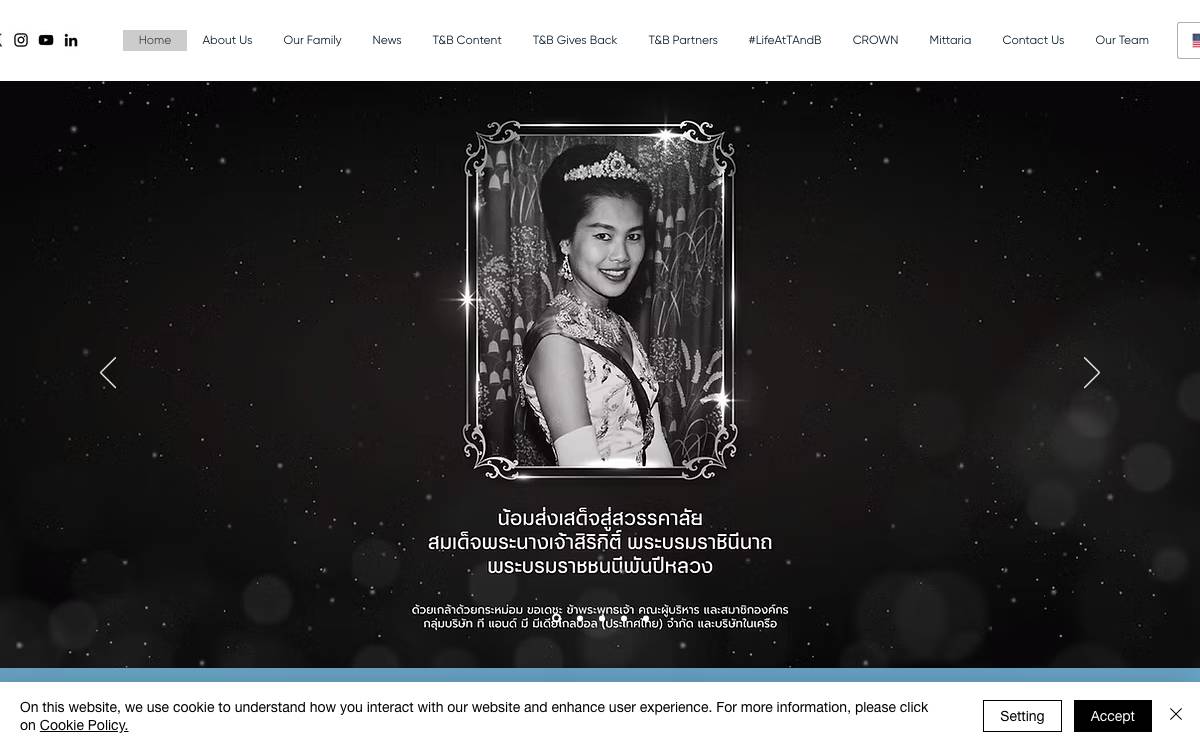 T&B Media Global website preview