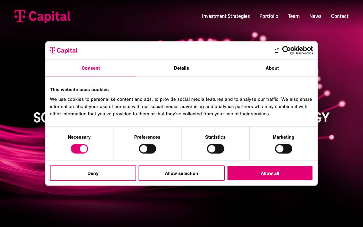 T.Capital website preview