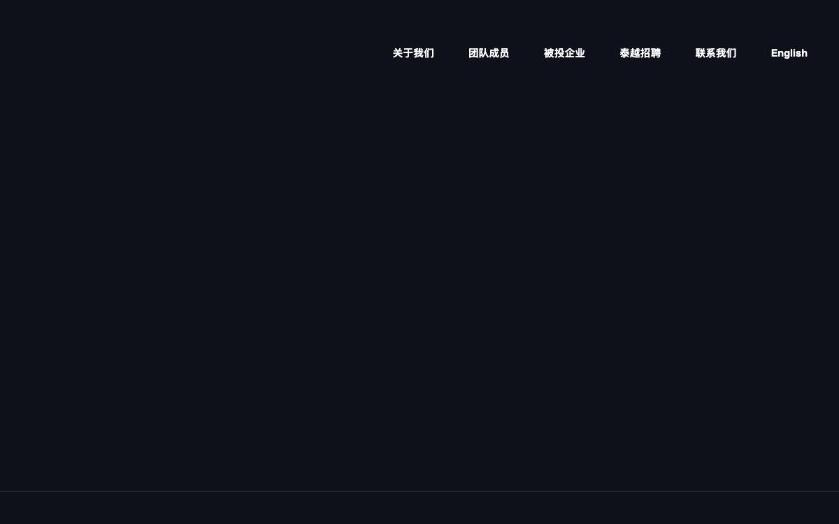 Tai Partners website preview