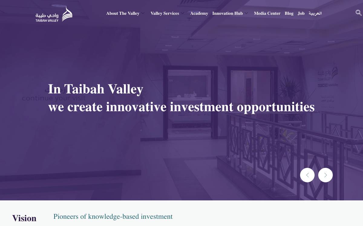 Taibah Valley website preview